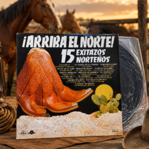 Arriba El Norte “15 Exitazos Norteños “Varios Artistas 1982 Vinyl Record LP/Very Good