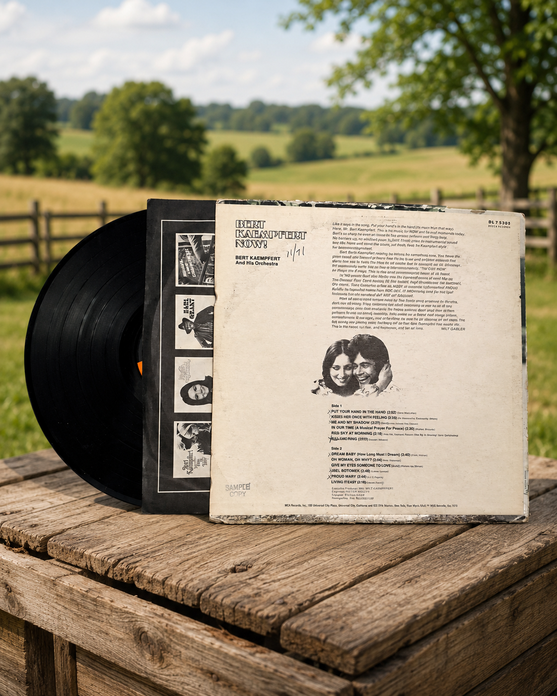 Bert Kaempfert (Open Vinyl RARE in Very Good Condition) - Image 2